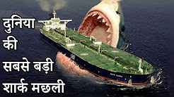 Largest Shark in the world (Megalodon) Hindi Full Movie